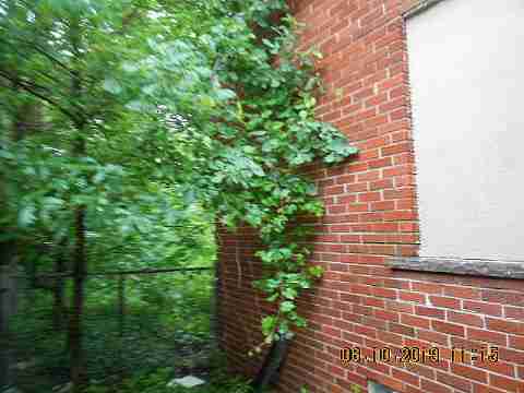 9391 Grandmont (5)_m.jpg